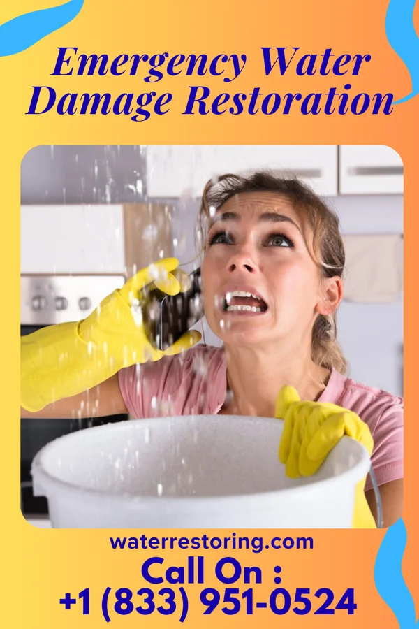 Emergency Water Damage Restoration in North Shore, VA