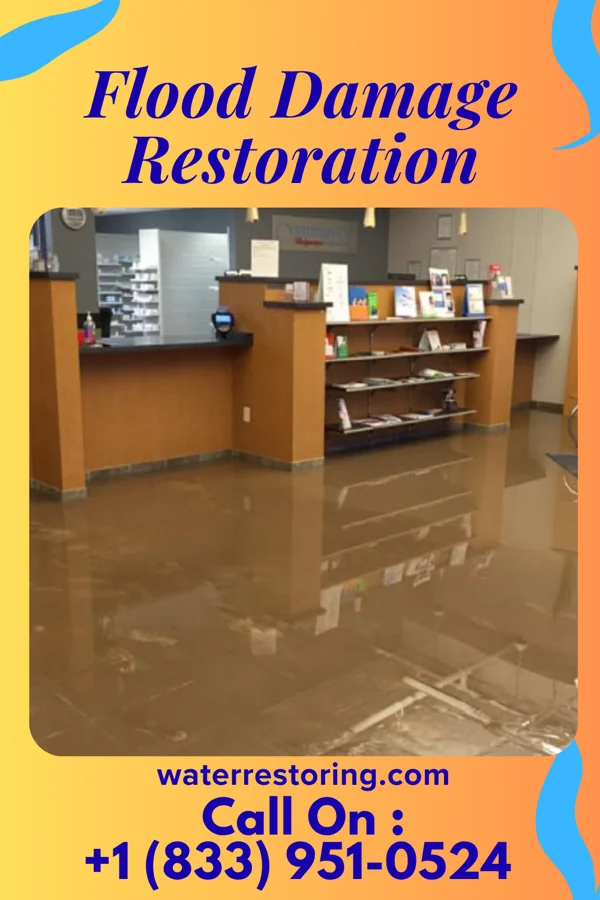 Flood Damage Restoration in North Shore, VA