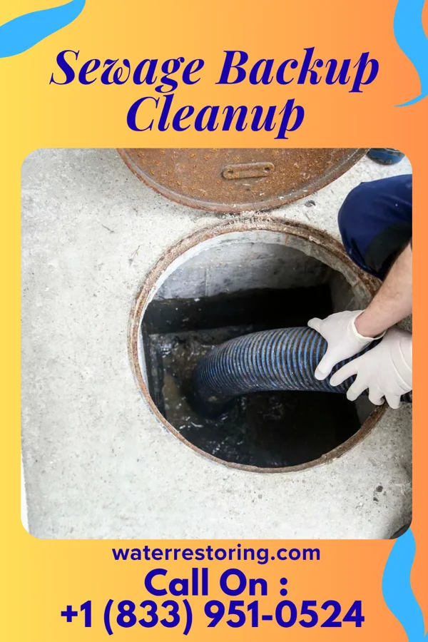 Sewage Backup Cleanup in North Shore, VA