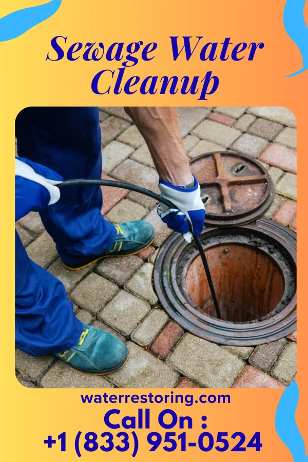 Sewage Water Cleanup in North Shore, VA